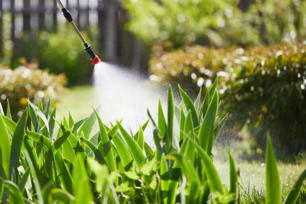 24/7 Emergency Wasp Removal experts in Green, OH